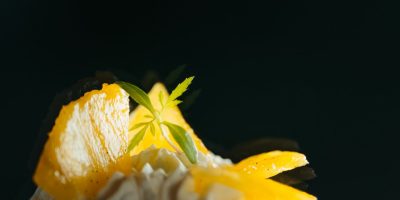 Villa Rosa - Créateur d'expériences La Rochelle49